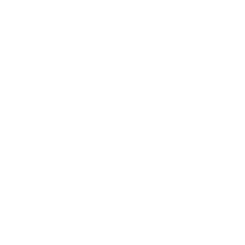 CHILLEAO CLOTHING LLC