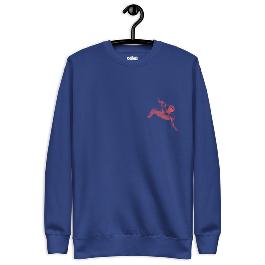 CHILLEAO "FALLING" BLUE UNISEX SWEATSHIRT